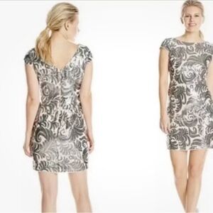 Adrianna Papell Cocktail Dress — Size is 22W